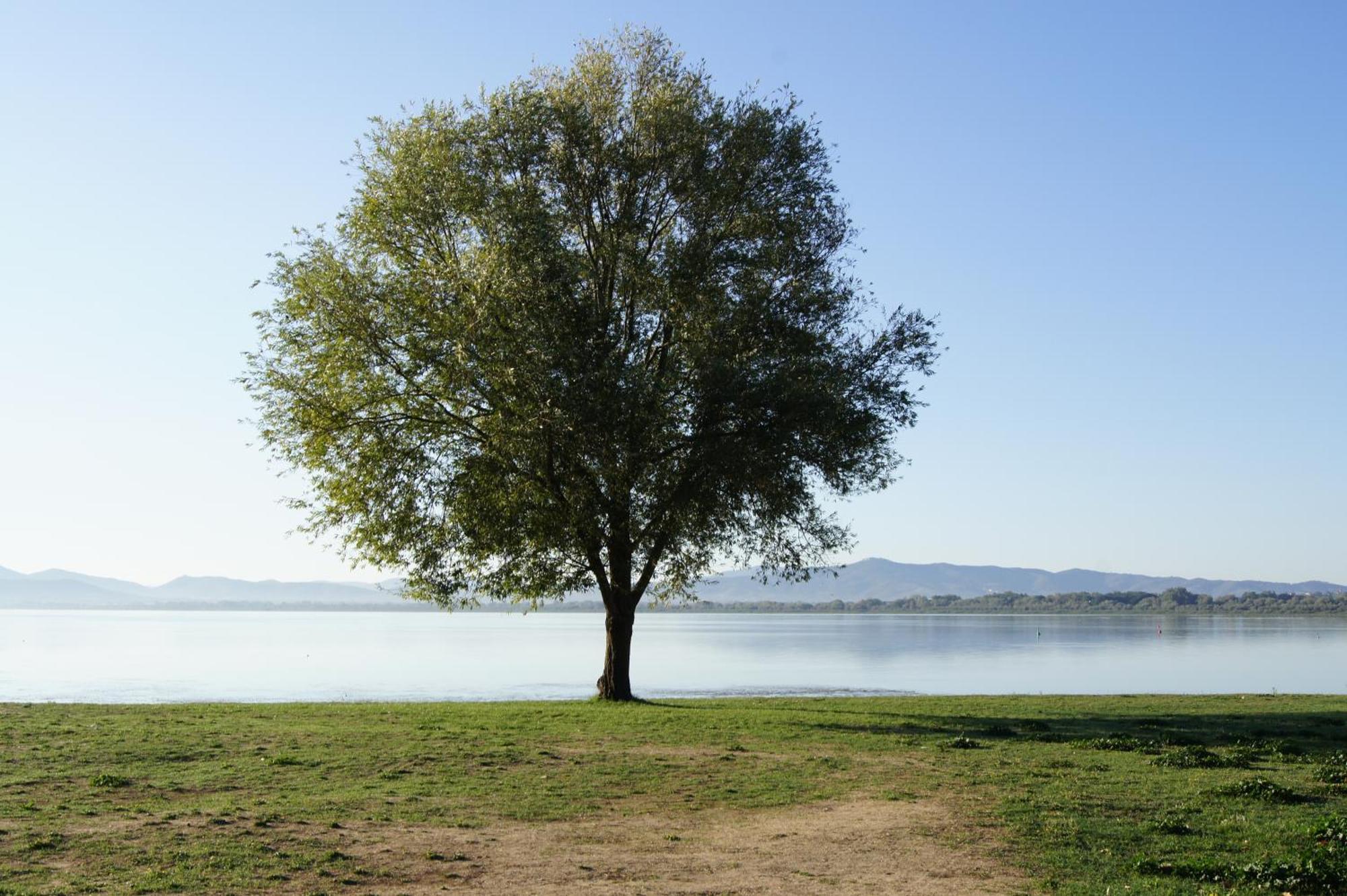 Residence Al Lago Castiglione del Lago Exteriér fotografie